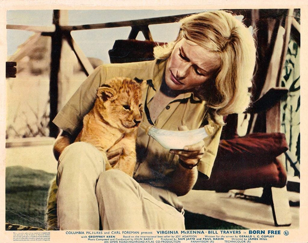 A snapshot from the 1966 film, Born Free.