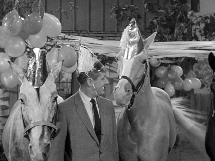 Mr.ed pictures of Mister Ed