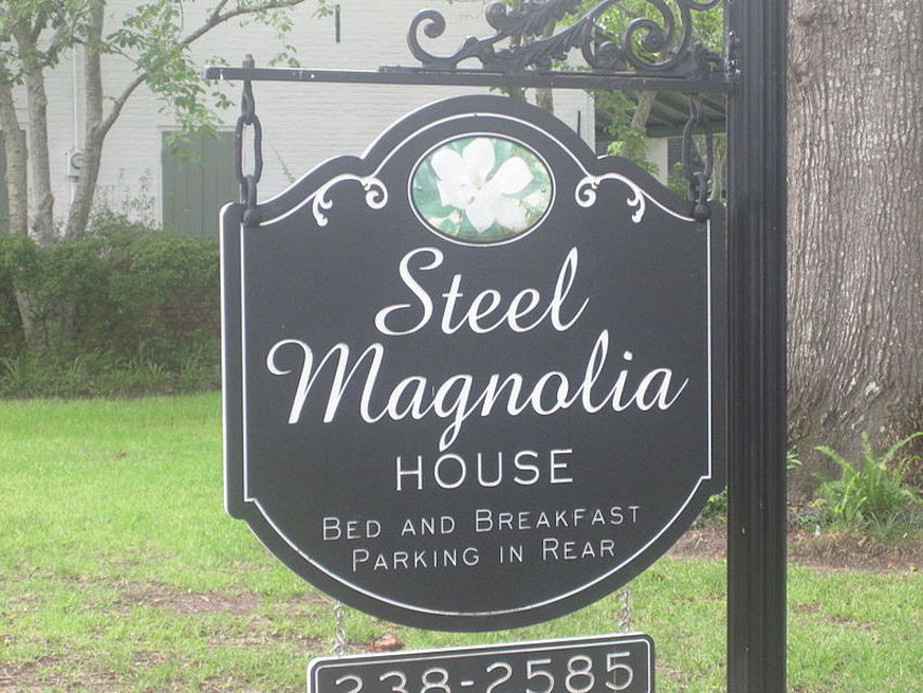 steel magnolia house