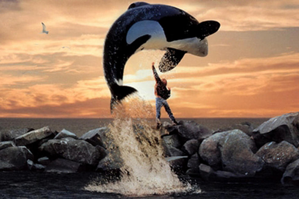 free willy 