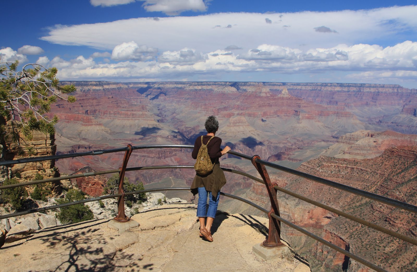 Standing at the railing of the Grand Canyon