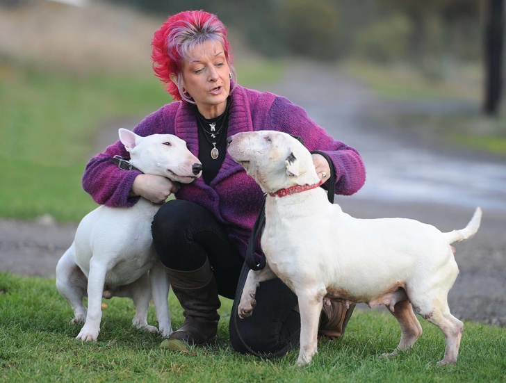 Liz Haslam and her Beds for Bullies dogs