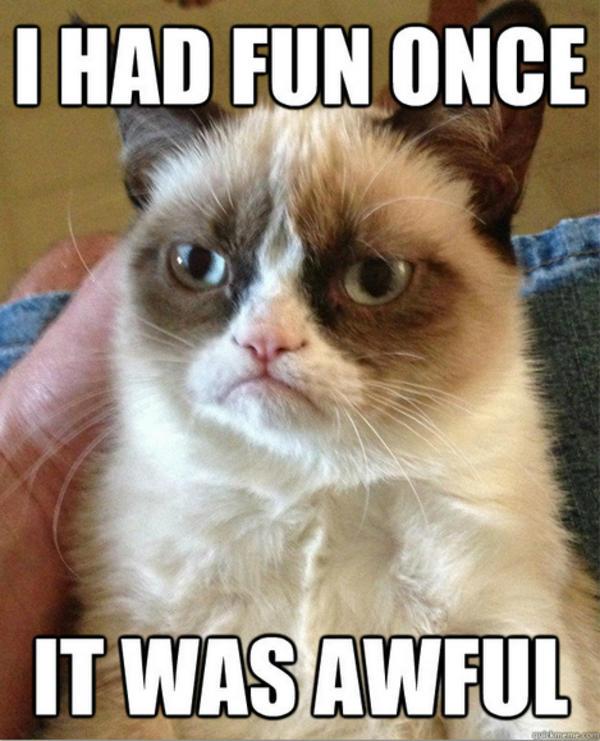 Grumpy Cat funny photo