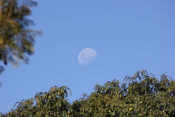 Moon coming out during the day