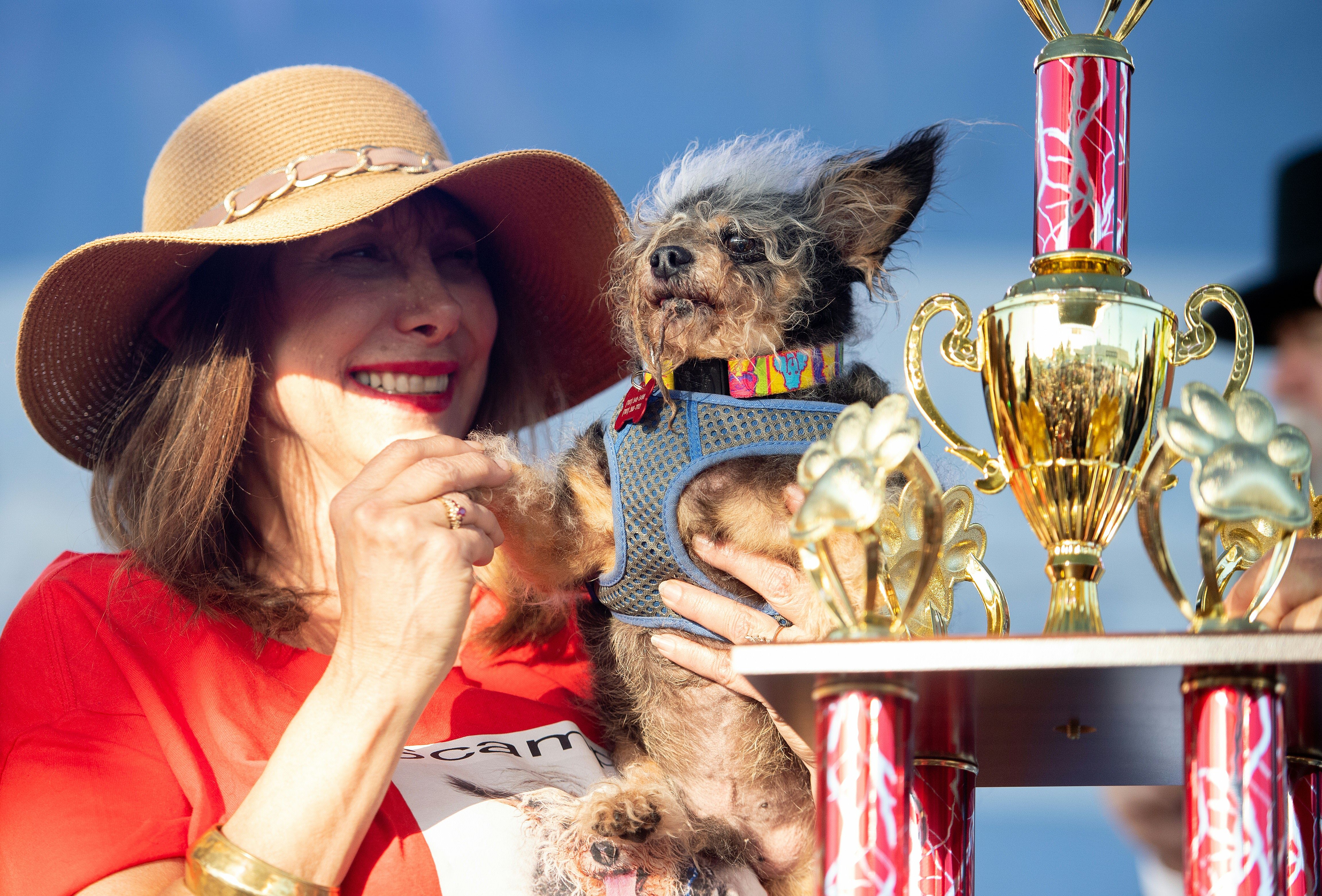 scamp the tramp worlds ugliest dog contest winner