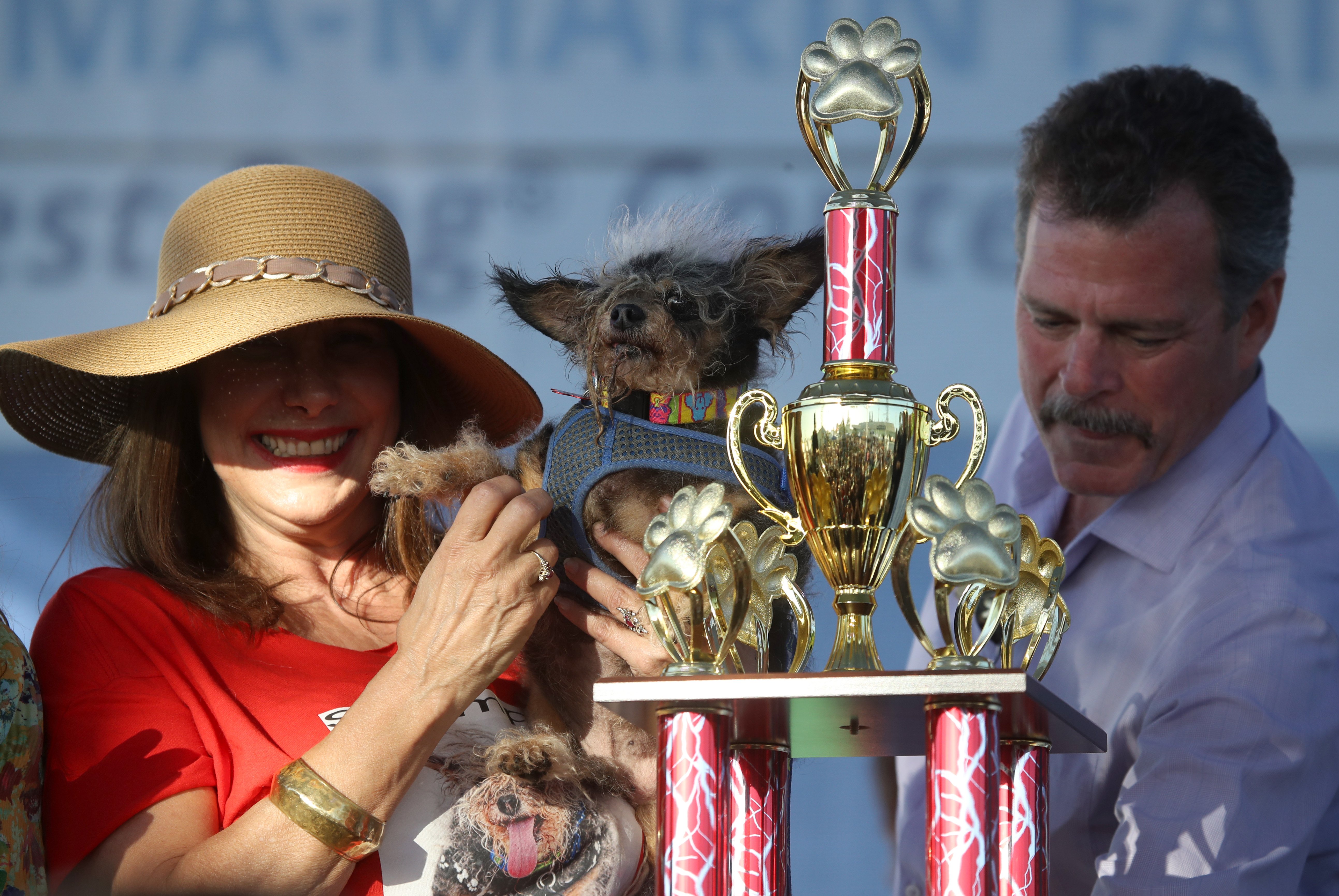 winner of the ugliest dog contest in california 