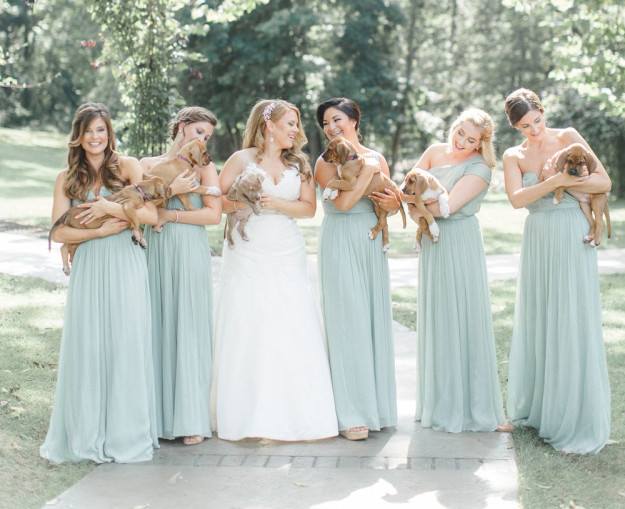 bride and bridal party holding puppies 