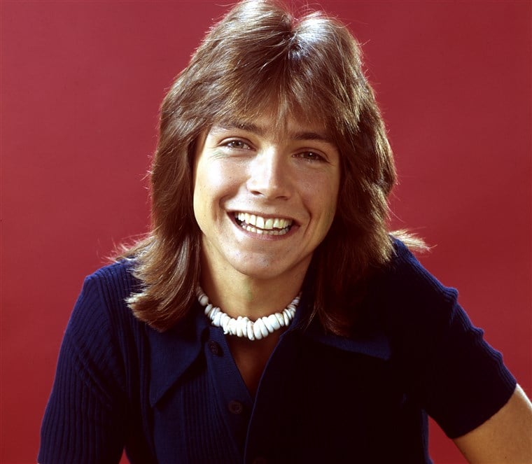 david cassidy in the 1970s