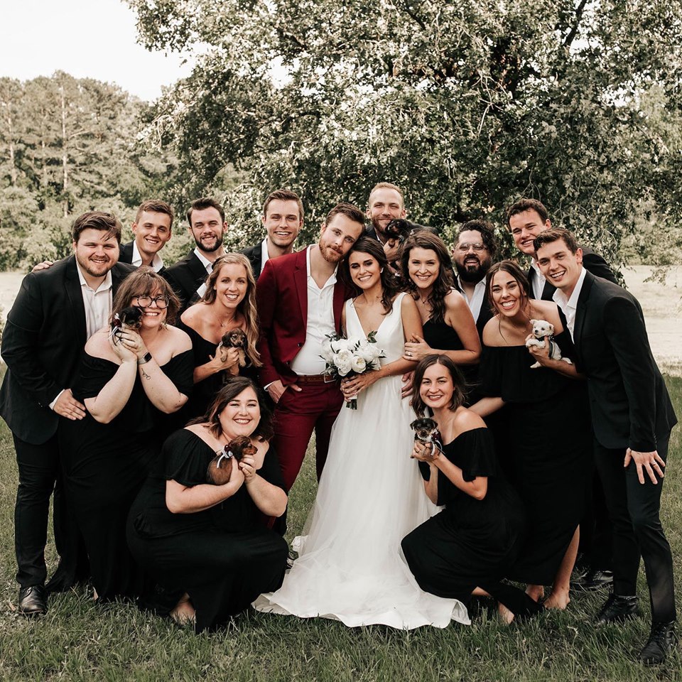 bridal party and puppies 