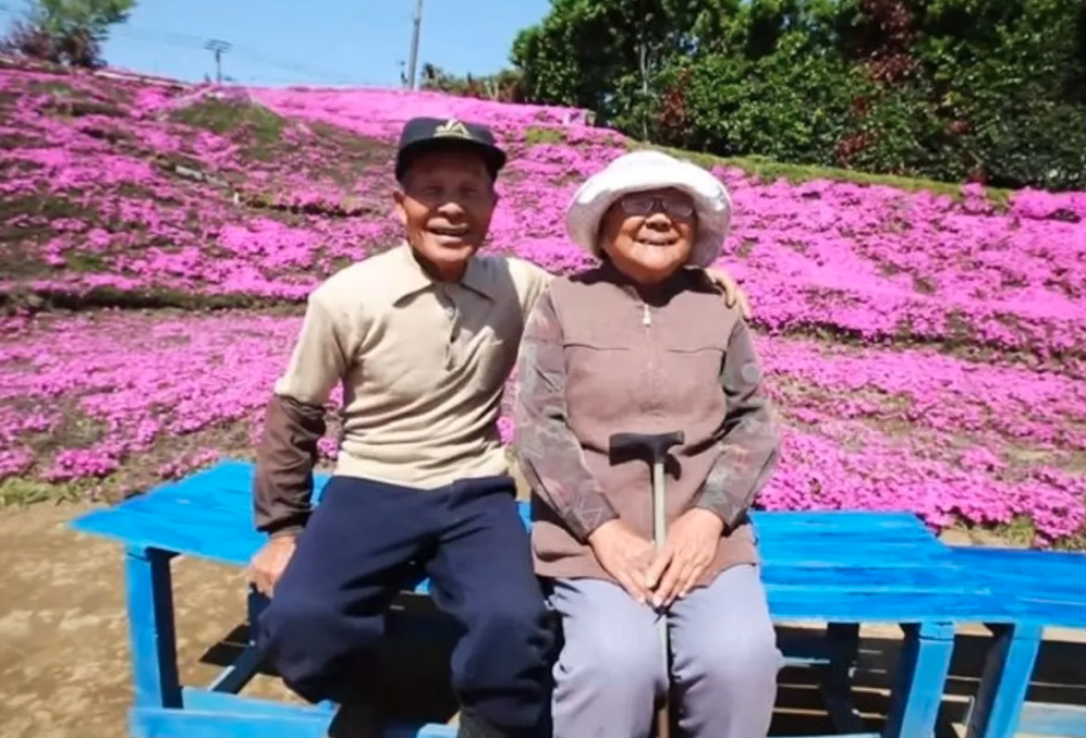 man plants thousands of flowers for blind wife