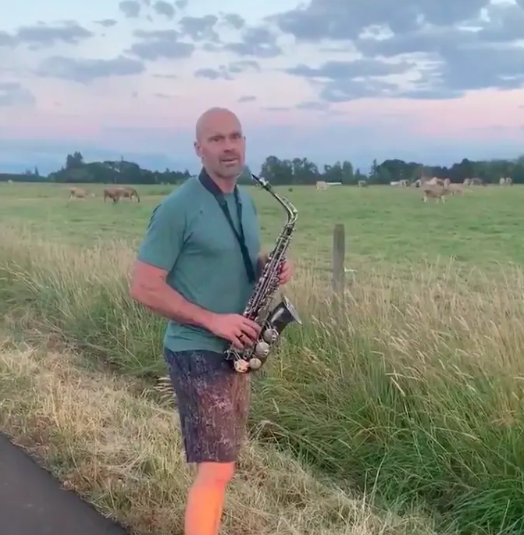 Rick Hermann playing the sax for cows