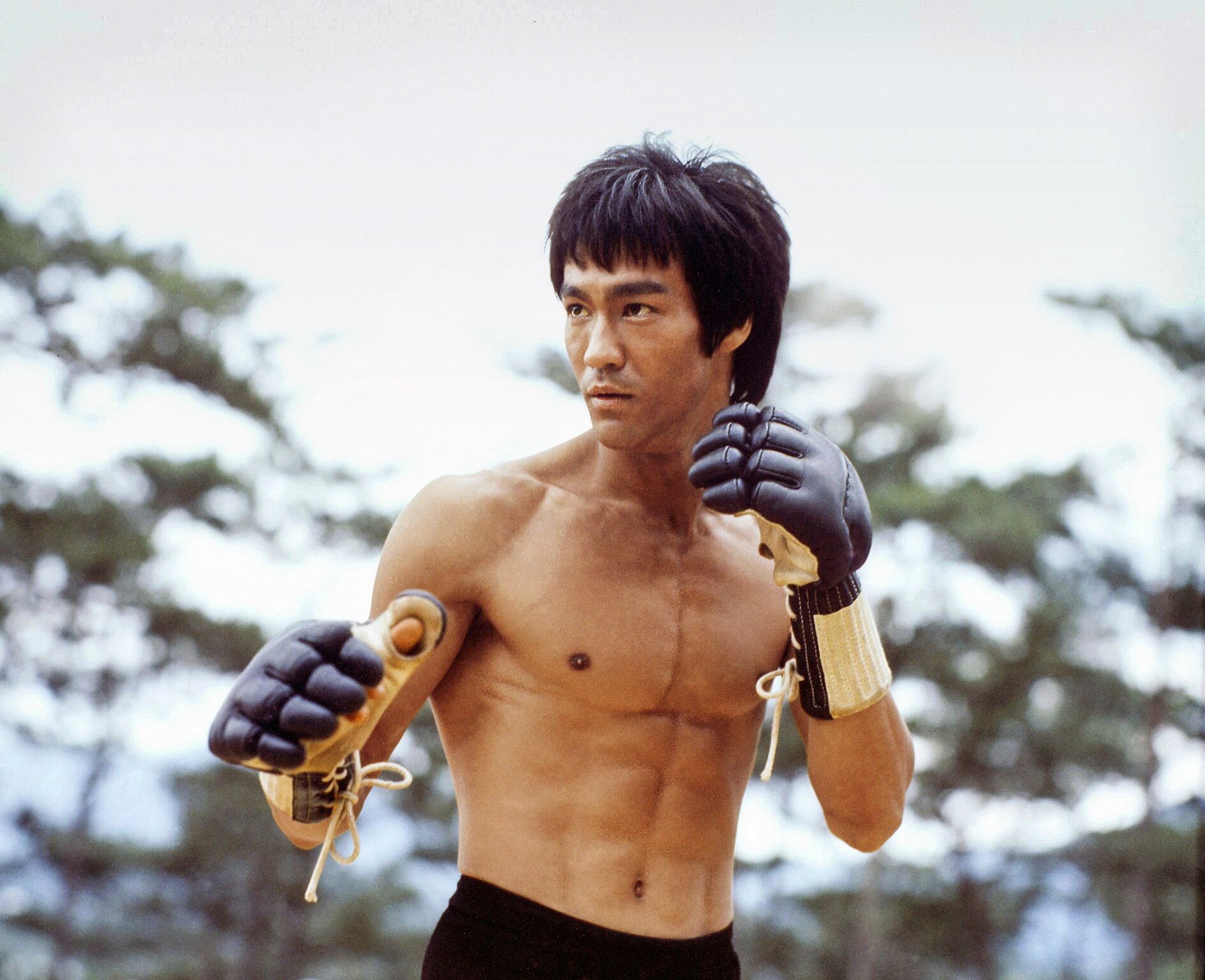 the real Bruce Lee