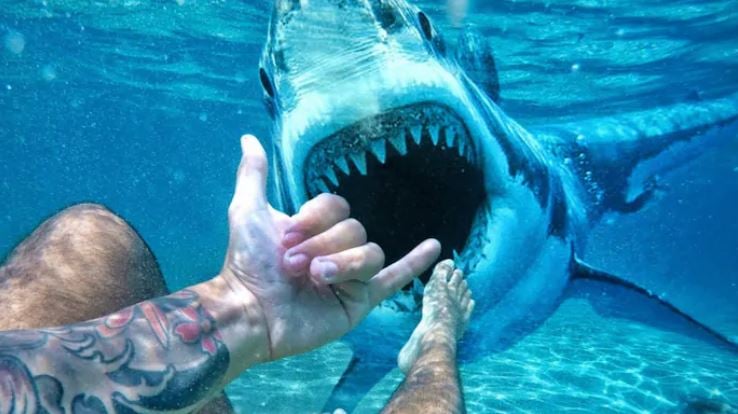 underwater with a shark