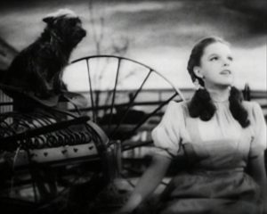 Dorothy and Toto in Kansas. 