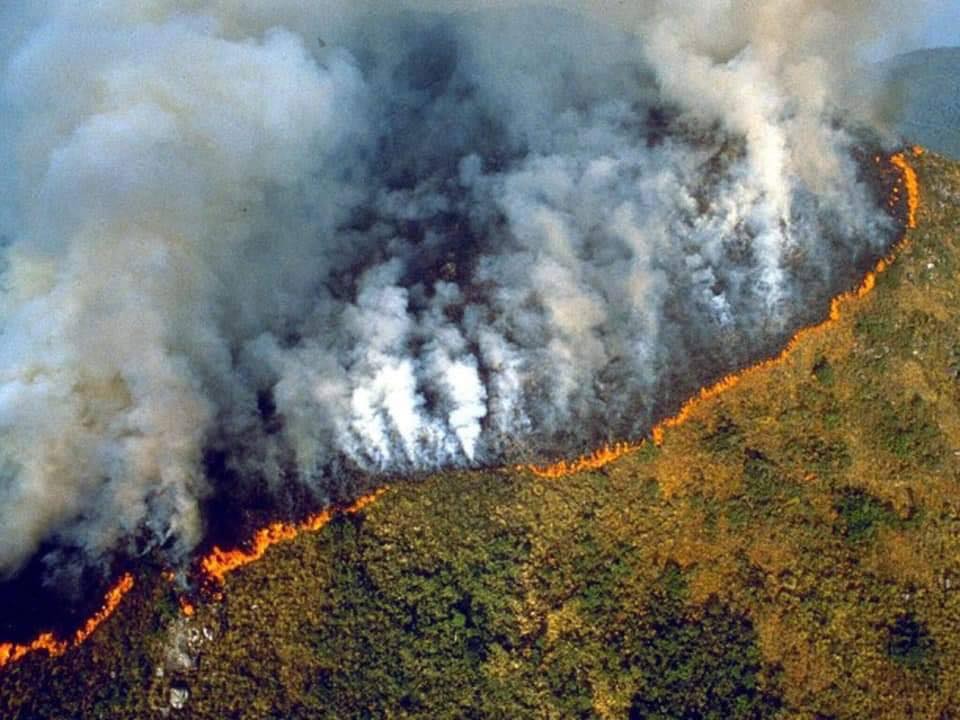 amazon rainforest fires in brazil 