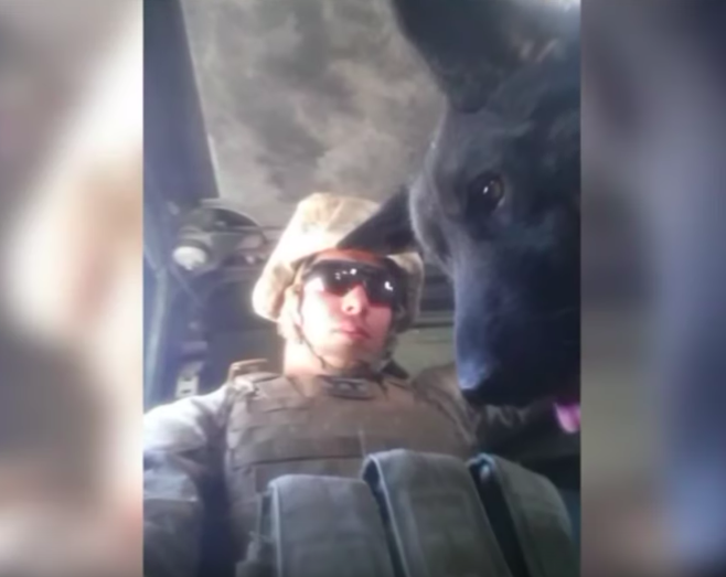 us marine reunites with his military dog