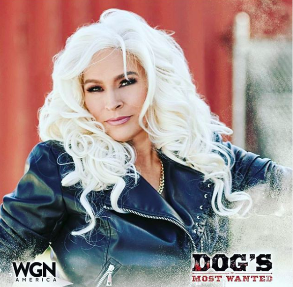 beth chapman dog's most wanted