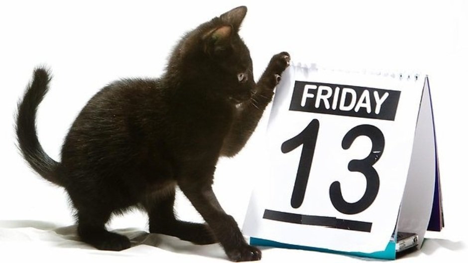 black cat bad luck friday the 13th