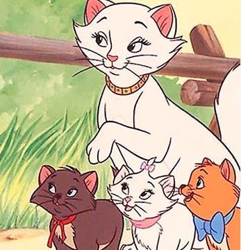 cat named duchess gives birth to the aristocats