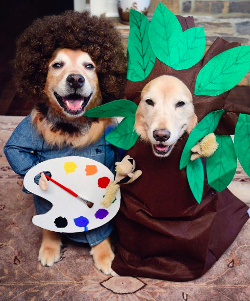 golden retrievers dress up as wizard of oz characters
