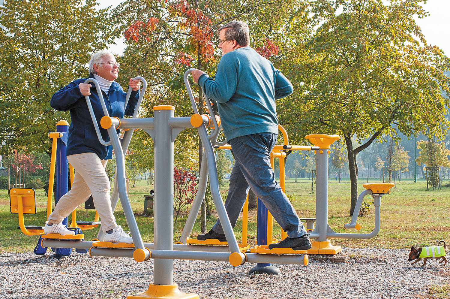 playground for elderly boosts activity and decreases loneliness