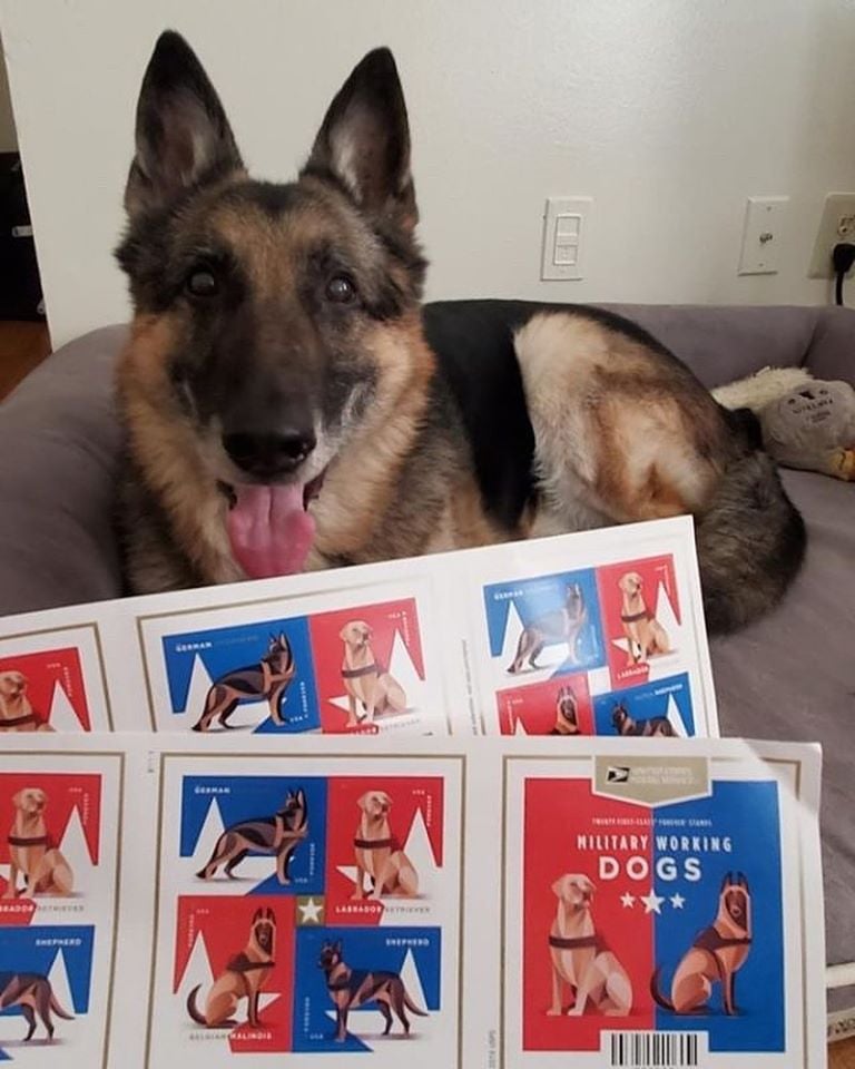 military working dog stamps and german shepherd 
