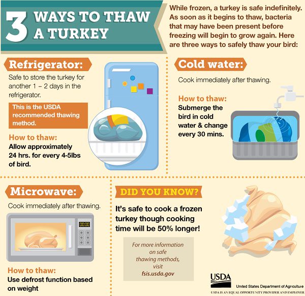 how to thaw a turkey infographic 