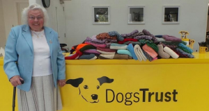 Maisie Green knits coats and blankets for Dogs Trust shelter animals