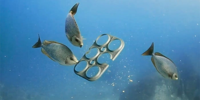 beer company makes edible six-pack rings for marine life