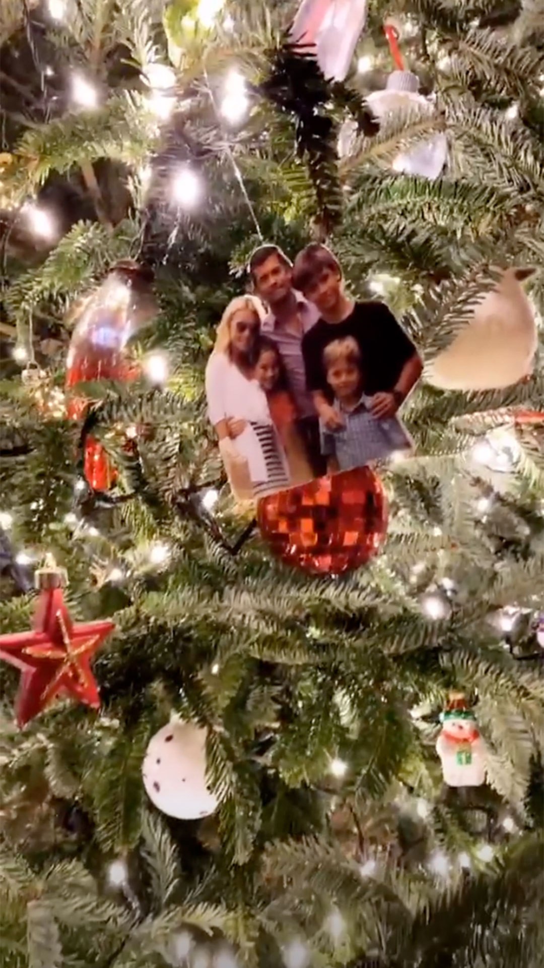 Kelly Ripa Swaps Out Traditional Ornaments For Nostalgic Family Photos On Her Christmas Tree