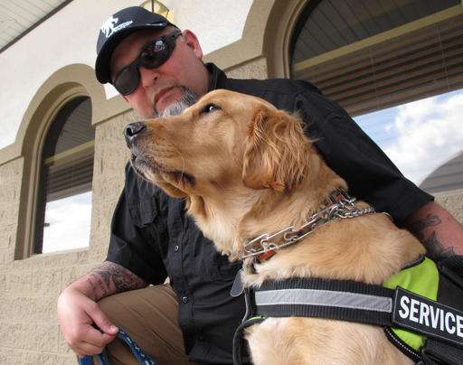 new bill covers cost of service dogs for veterans with PTSD