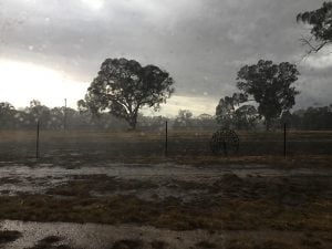 Forecasters warn of flash flooding, but residents are relieved for the water