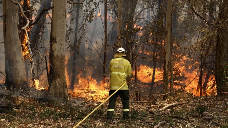 three US firefighters die in plane crash helping with australia bushfires