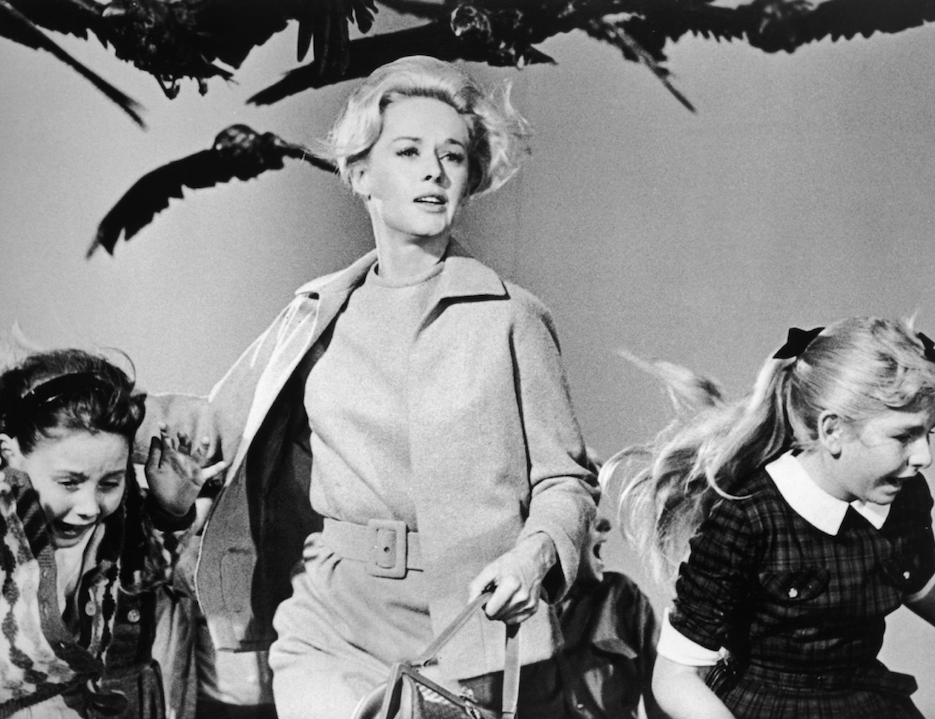 Photos of tippi hedren