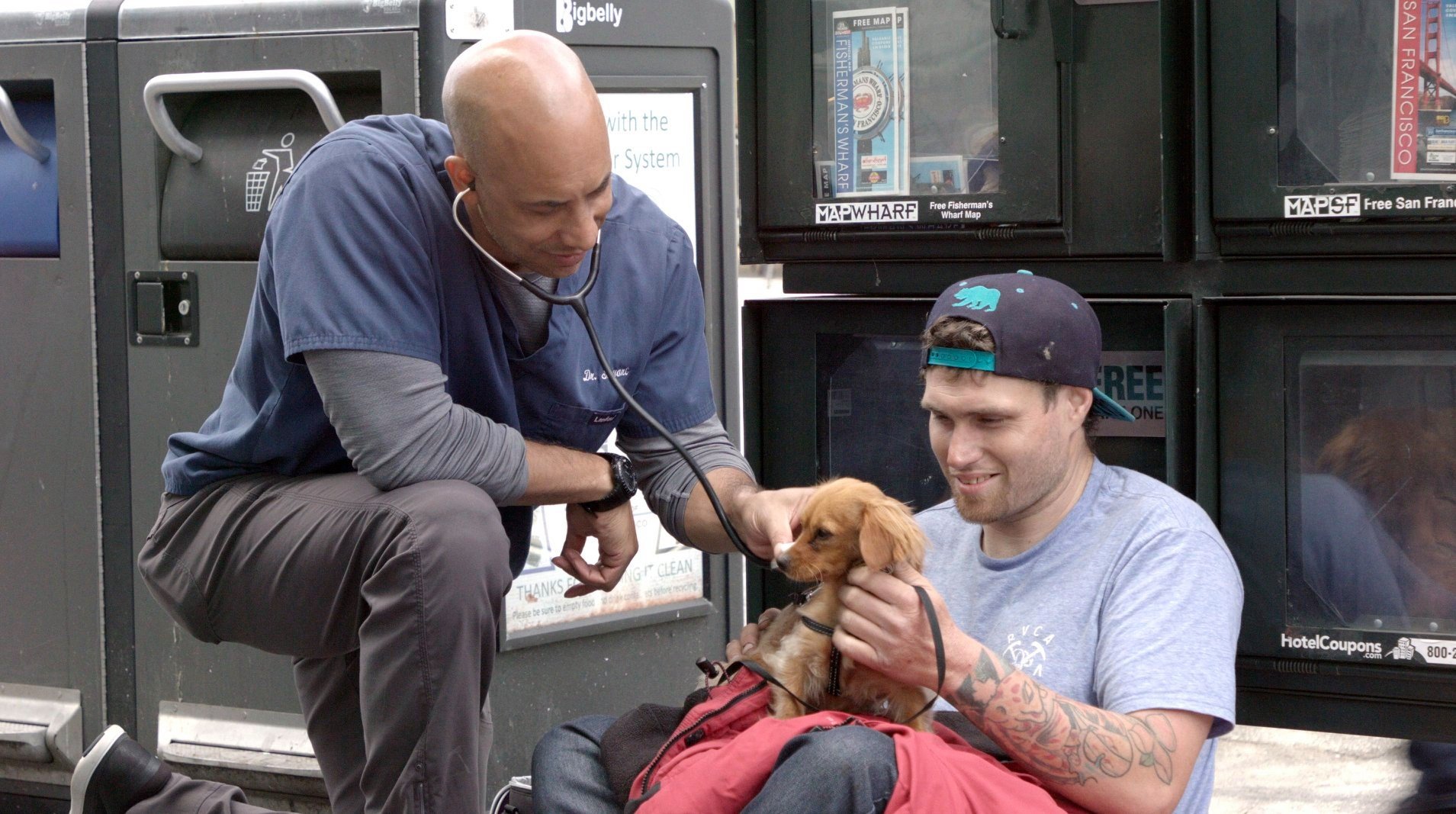 the street vet treating a pet