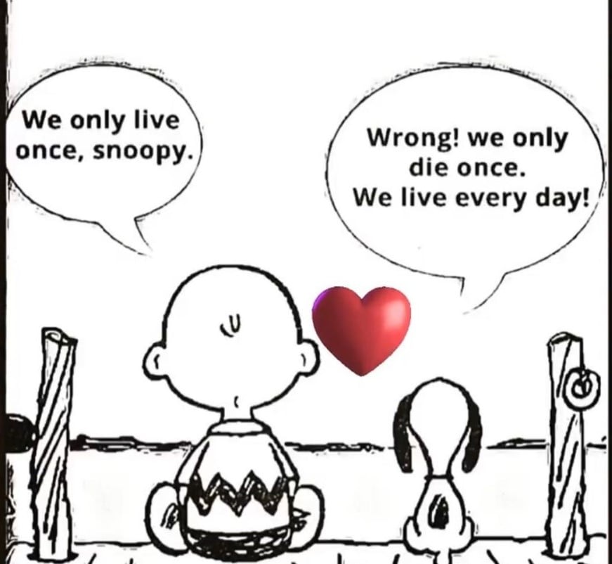 snoopy charlie brown quote 