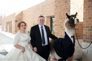 Riva did not care if the llama wore a tuxedo or not, she wasn't thrilled to see him at her wedding