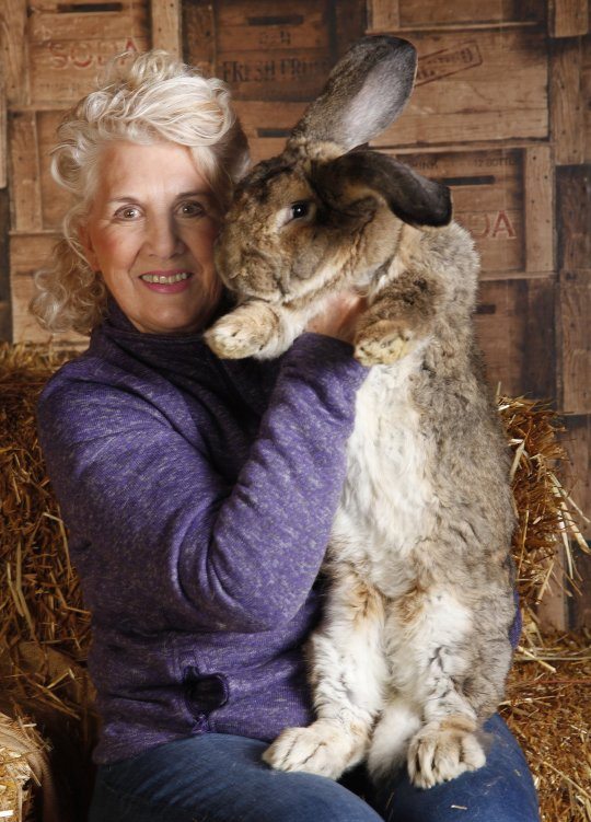 world's largest rabbit darius 49 lbs