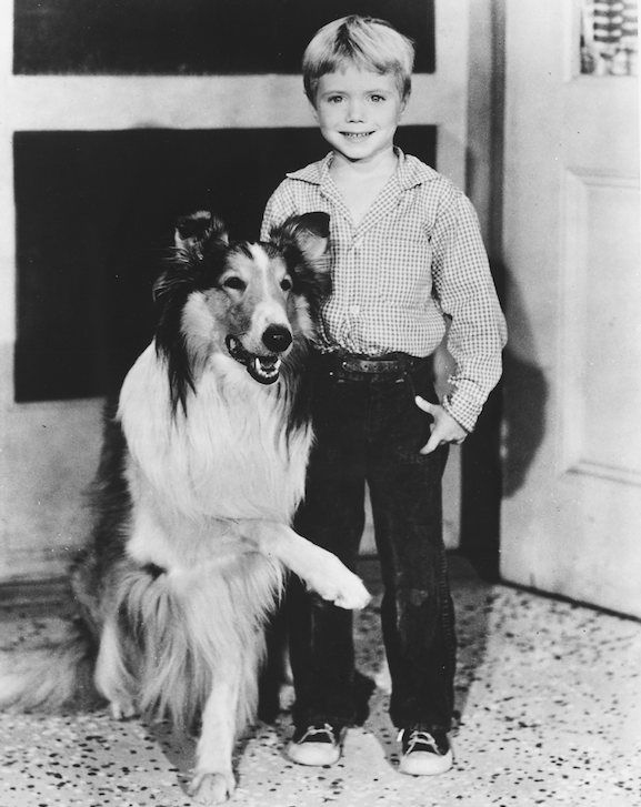 jon provost as little timmy on lassie 70 years old now