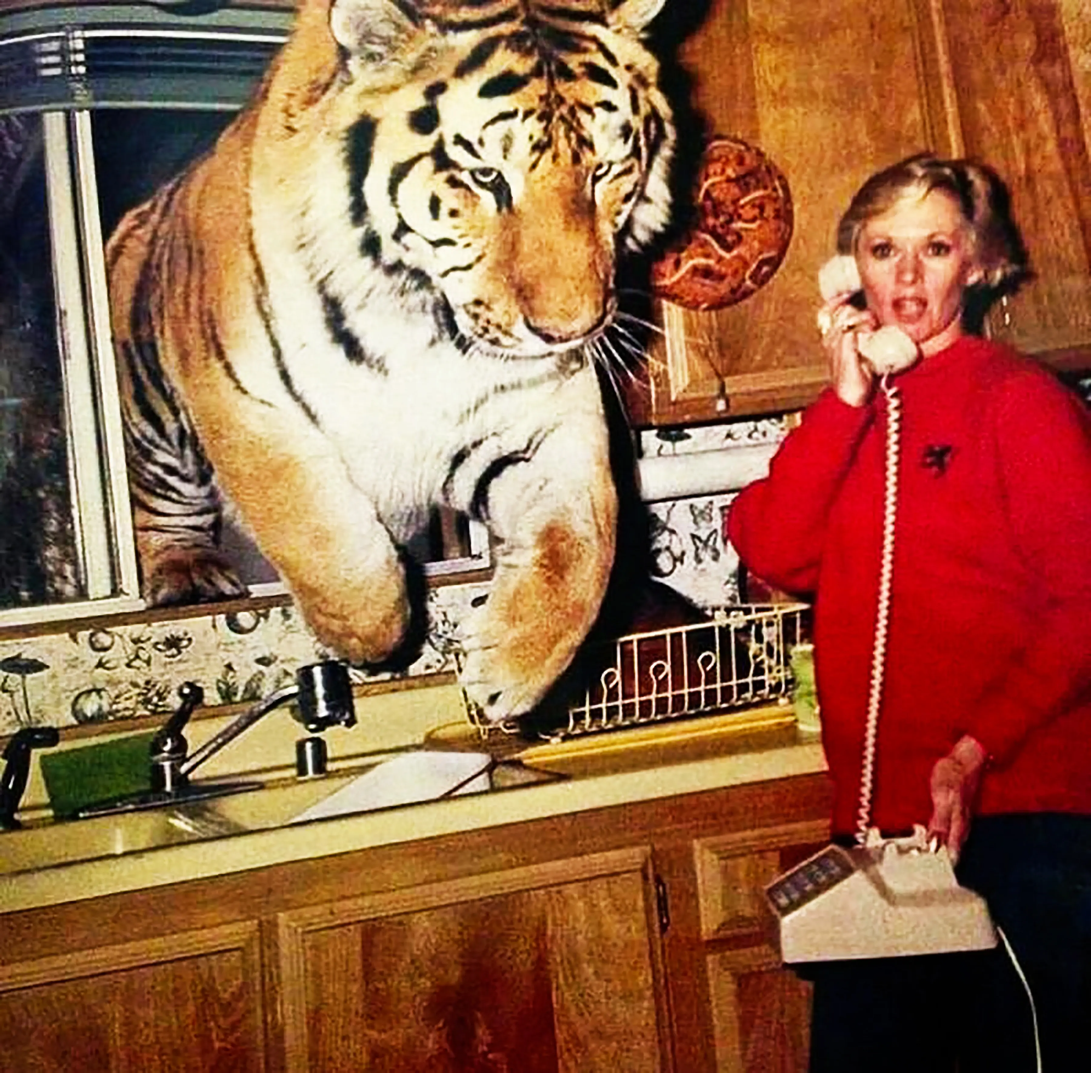 tippi hedren in her kitchen with a tiger