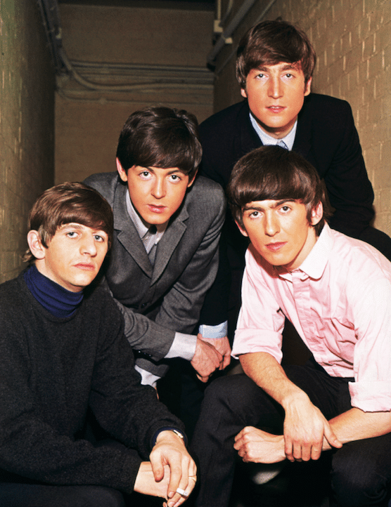 Check Out This New Species Of Beetle Named After The Beatles