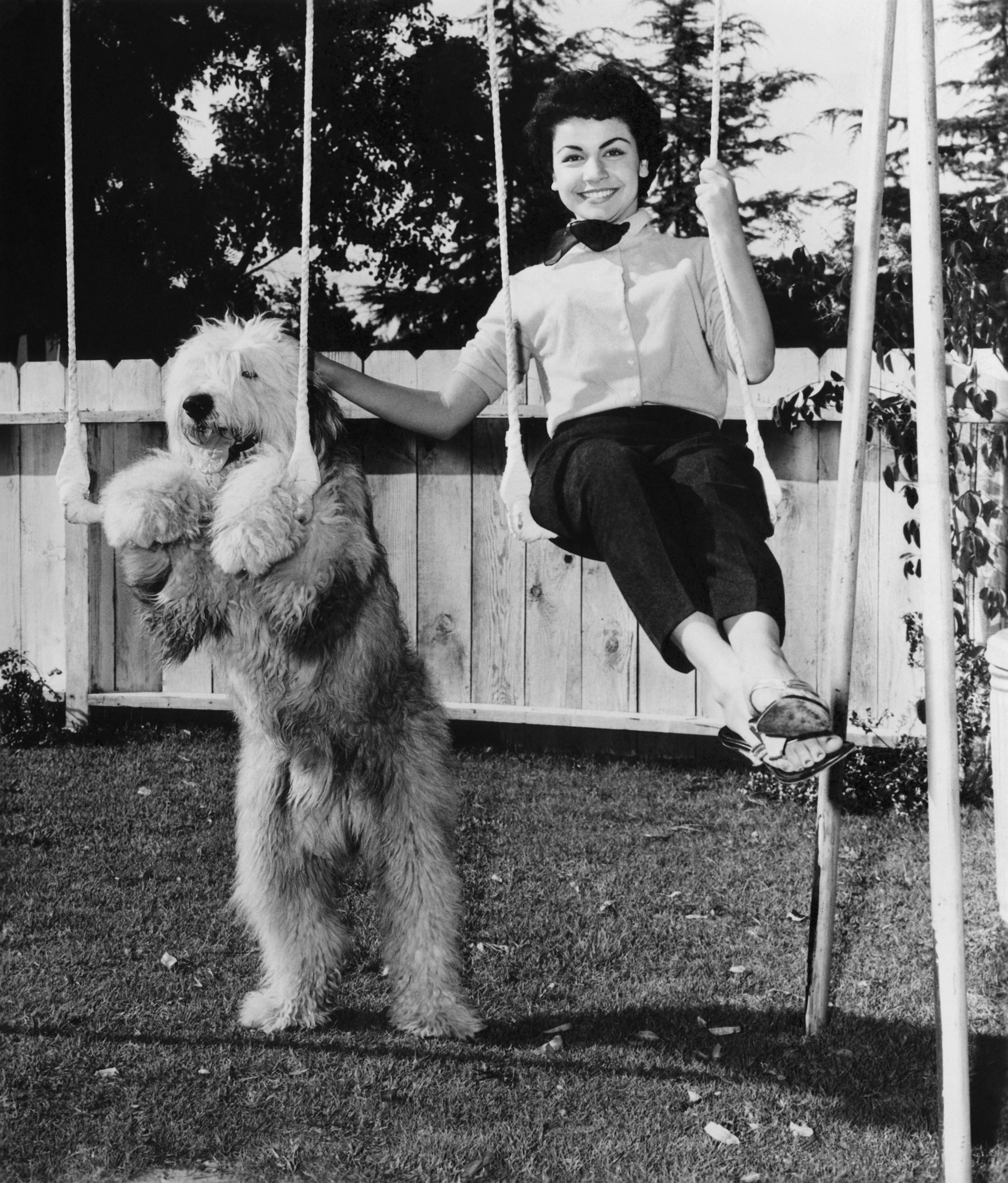 annette-funicello-the-shaggy-dog