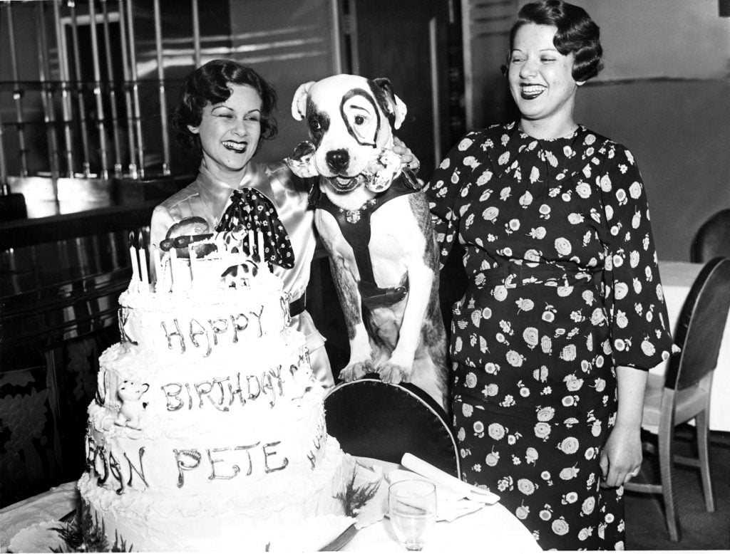 little-rascals-petey-gets-a-birthday-cake