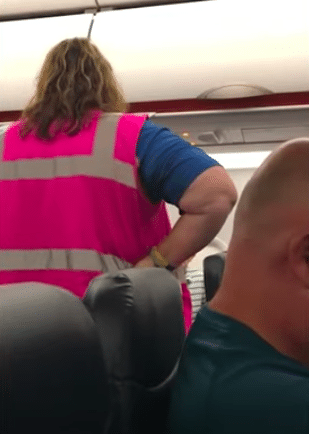 allegiant airline flight attendant face mask