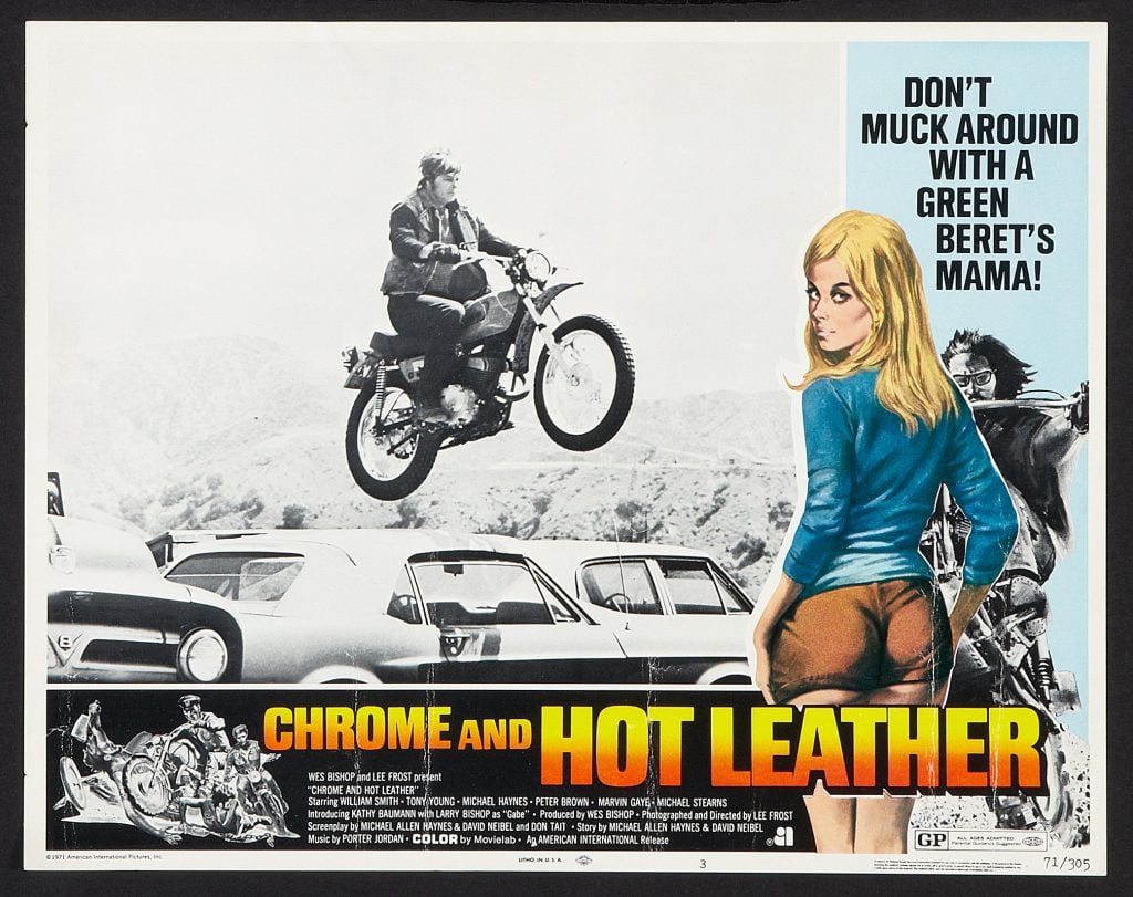 cheryl-ladd-chrome-and-hot-leather