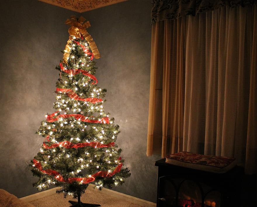 To Top Off 2020, There Is Now A Christmas Tree Shortage