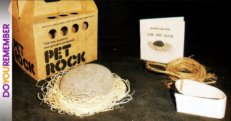 The Popularity Of The Pet Rock | DoYouRemember?