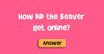 beaver-a