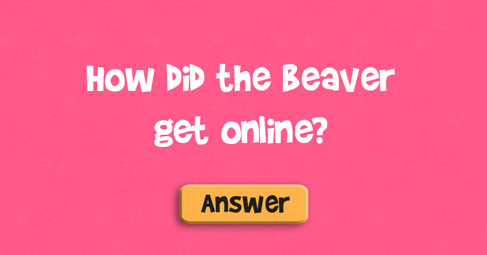 How Did the Beaver Get Online?