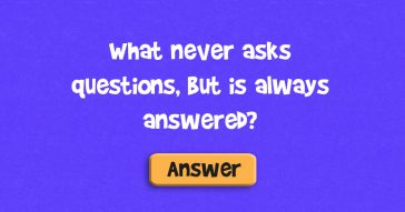 What never asks questions
